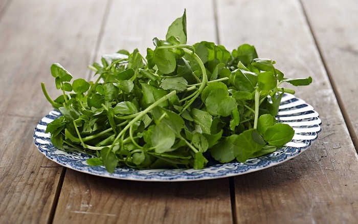 Mẹo chữa mụn trứng cá bằng rau cải xoong
