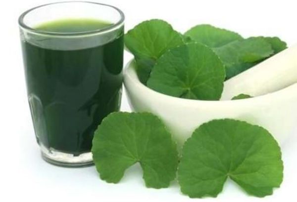 những điều kiêng cử khi sử dụng rau má 