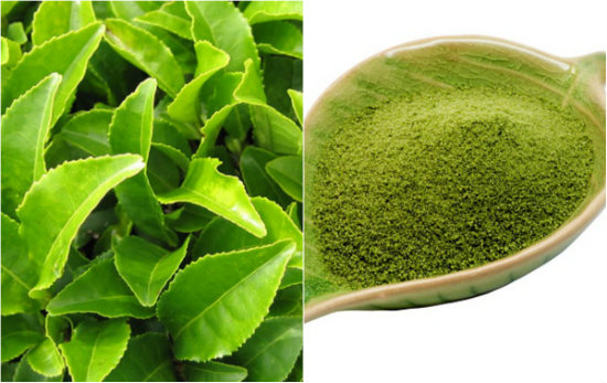 Trị sẹo lõm bằng trà xanh