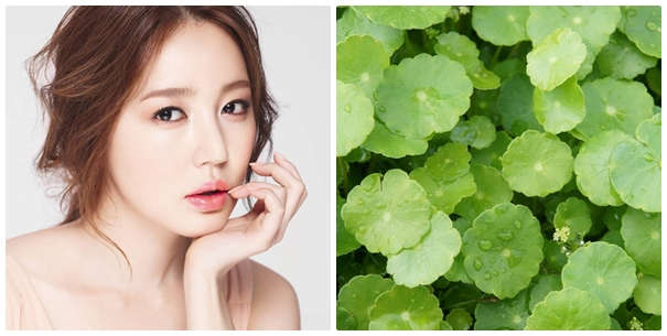Trị sẹo rỗ tại nhà bằng rau má