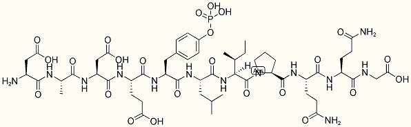 Cấu trúc của EGF